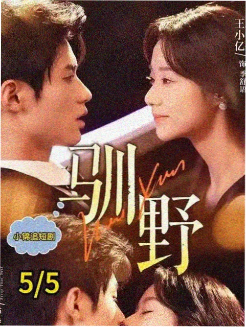 航海王TV动画和之国篇